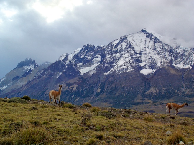 CL Torres del Paine